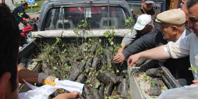 Orman İşletme Müdürlüğü Gül Fidanı Dağıttı