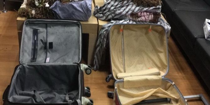 Hollanda Uyruklu Şahsın Valizinden 200 Bin Tl Değerinde Bitki Çıktı