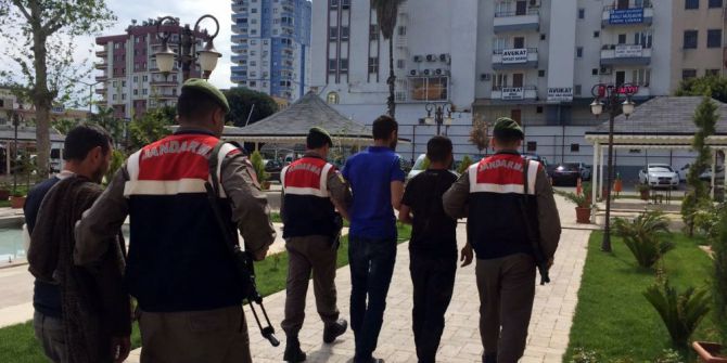 Limon Hırsızları Suçüstü Yakalandı