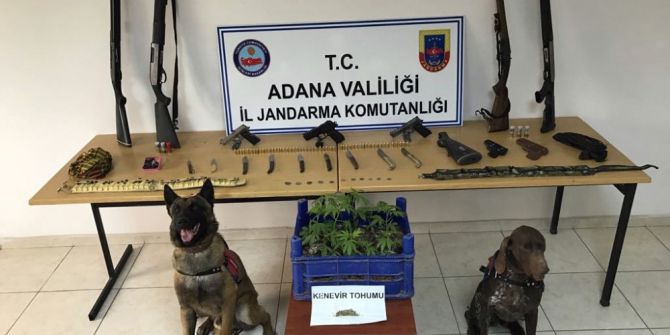 Adana’da Uyuşturucu Ve Silah Operasyonu