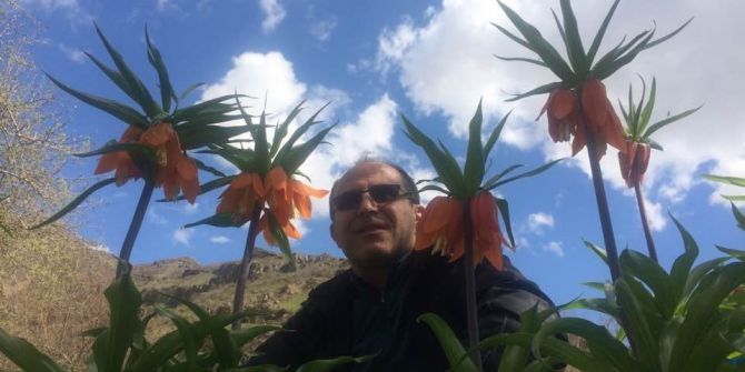 Hakkari’de Ters Laleler Çiçek Açtı
