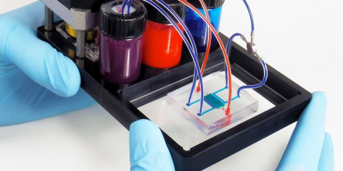 ’Çip Organlar’ Bilimde Çığır Açacak