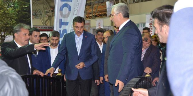 Esenlik Markaları Beğeni Topladı