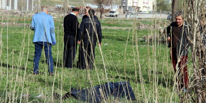 Çalıştığı Tarlada Hayatını Kaybetti