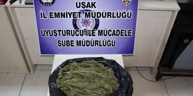 Uşak’ta Uyuşturucu Operasyonu