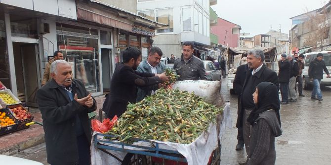 Gulik Otu Geçim Kaynağı Oldu