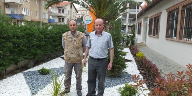 Burhaniye’de, Tarım Çalışanlarının Yeşillendirme İmecesi