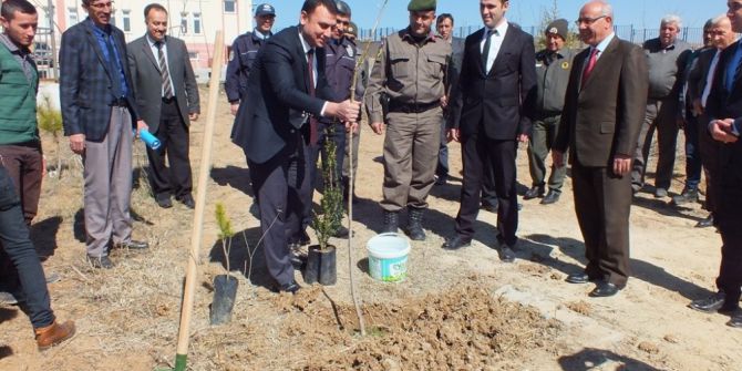 Aslanapa’da 600 Fidan Toprakla Buluştu