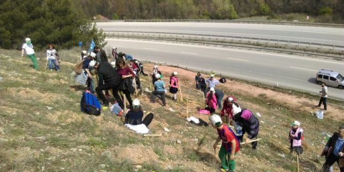 Bilim Ve Sanat Merkezi Öğrencilerinden Hatıra Ormanı