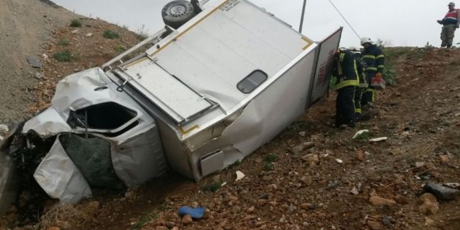 Yarış Atı Taşıyan Kamyonet Devrildi