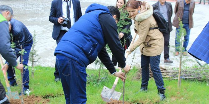 Osmaneli Belediyesi İçmeler Tesislerine Bin Adet Toros Sediri Dikildi