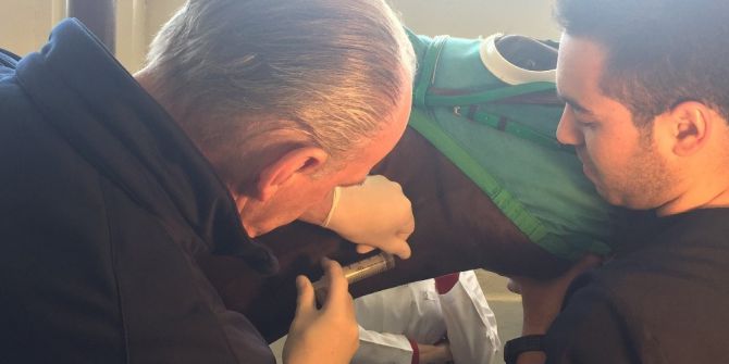 İngiliz Yarış Atına Müthiş Operasyon