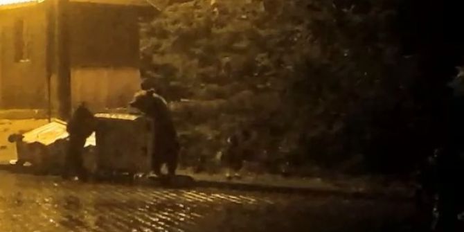 Yer Uludağ... Ayılarla Başbaşa