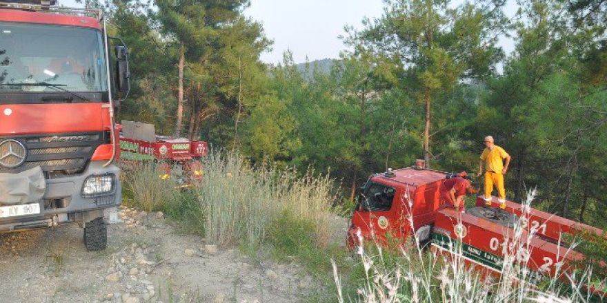 Osmaniye’de Orman Yangını