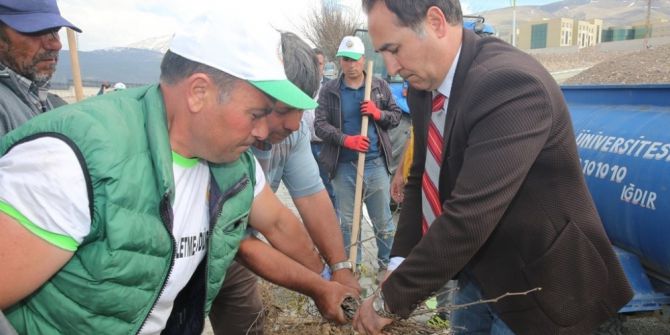 Suveren Kampüsü Ağaçlandırma Çalışmaları