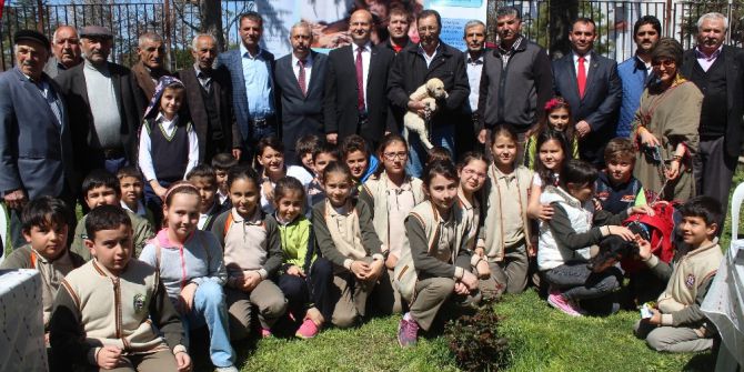 ‘Minik Dostlarımızla Birlikte Yaşayalım’ Projesi Başladı