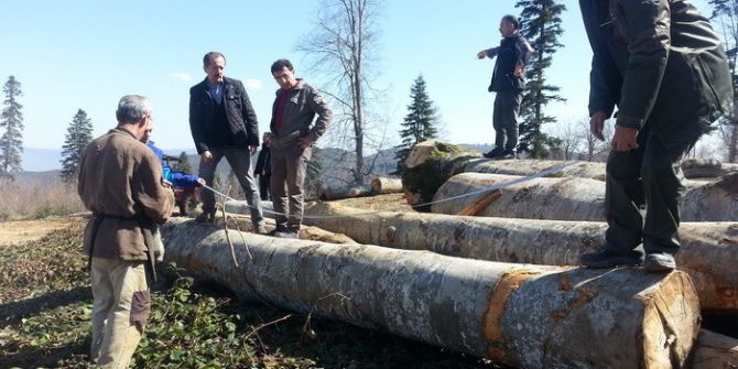 Düzce’de Üretim Sahaları Ve Depolar Denetlendi