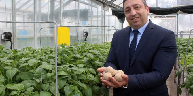 Pırlak: "Yerli Patates Tohumları Çiftçinin Maliyetini Aşağı Düşürecek"