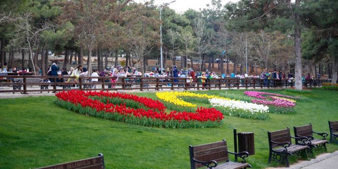 Dülük, Lalelerle Bir Başka Güzel