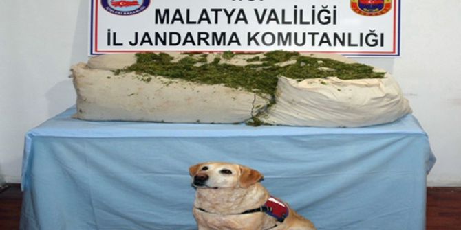 Jandarma 73 Kilo Uyuşturucu Madde İle 3 Bin 500 Paket Kaçak Sigara Ele Geçirdi