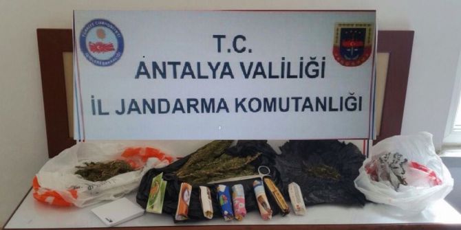 Jandarmadan Uyuşturucu Operasyonu