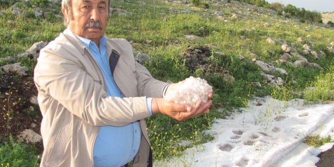 Dolu, Fıstık Bahçesi Ve Hububat Alanlarını Vurdu