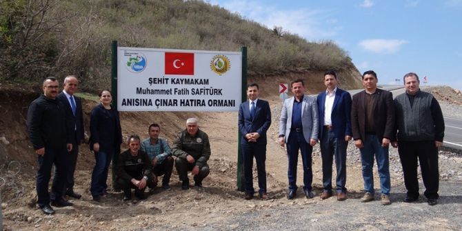 Şehit Kaymakam Safitürk’ün Anısı Hatıra Ormanında Yaşatılacak