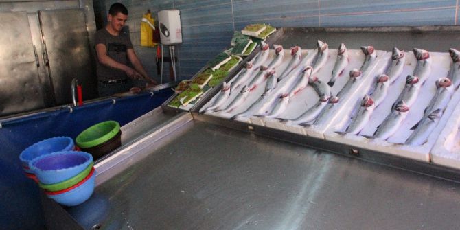 Av Yasağı Tezgahları Boş Bıraktı