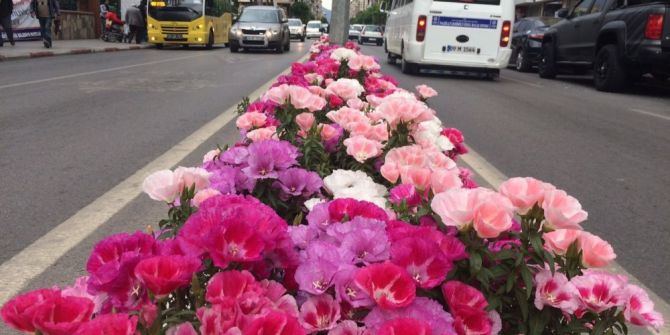 Bahar Geldi, Nazilli Renklendi