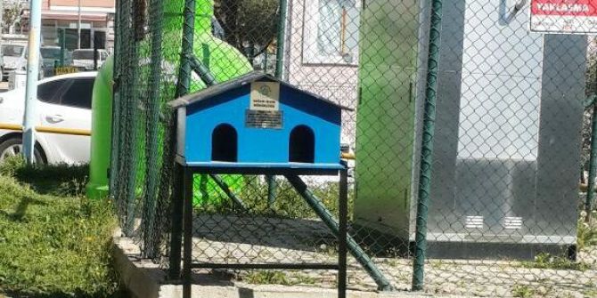 Sokak Kedileri İçin Yeni Kedi Evleri Yerleştirilmeye Başlandı