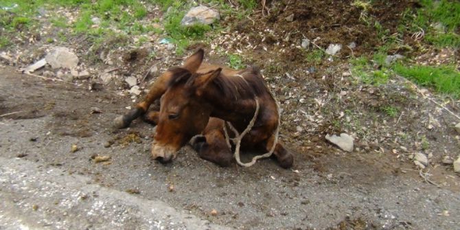 Yoğun Yağış Kayaları Yerinden Oynattı