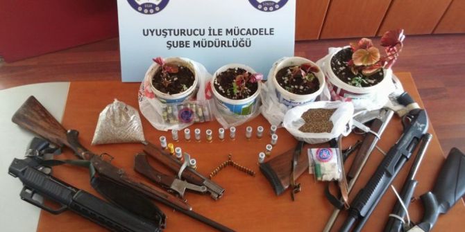 Sinop’ta Uyuşturucu Operasyonları