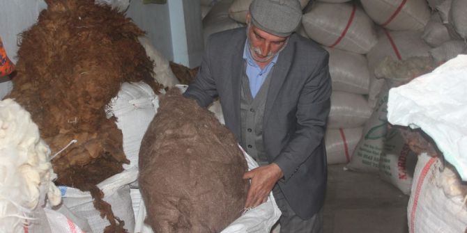 Yüncülük Sektörü Teknoloji Kurbanı Oldu