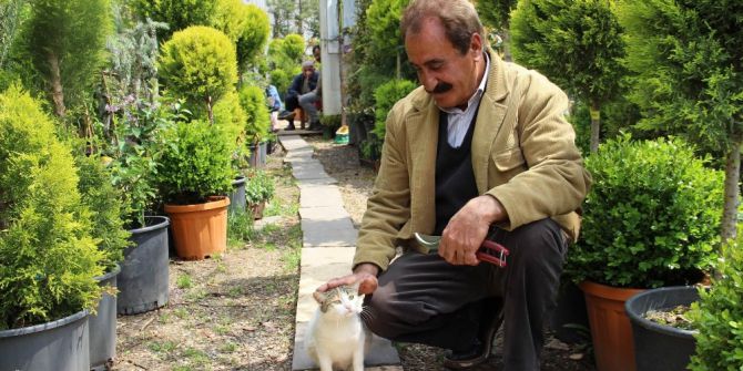 33 Yılını Doğaya Verdi