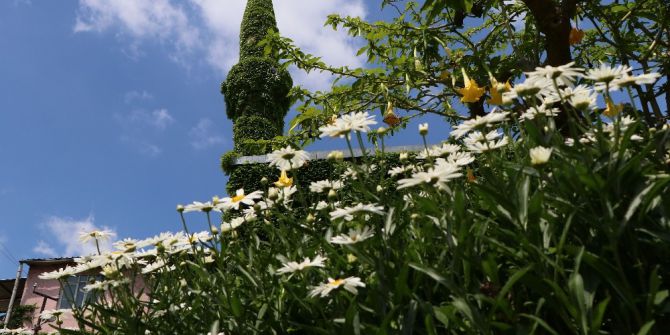Tarihi Cami Yeşile Büründü