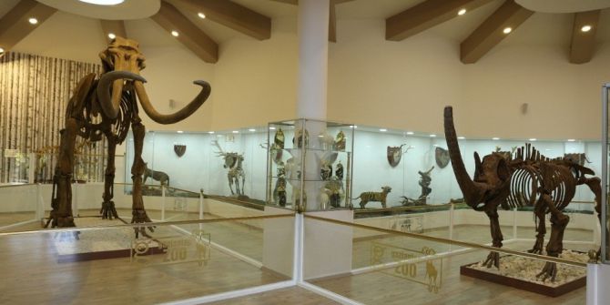 Türkiye’nin İlk Ve Tek Zooloji Ve Doğa Müzesi Açılıyor