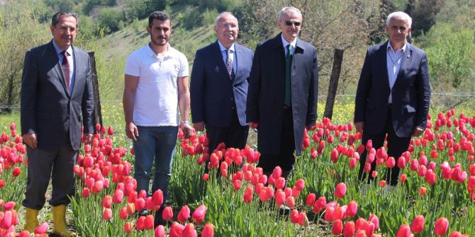 Bartın’da Tarımsal Üretime Destekler Sürüyor