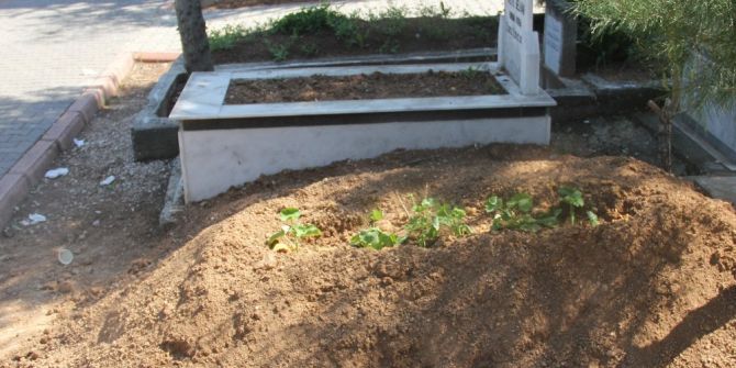 Adana’da Esrarengiz Ölümler