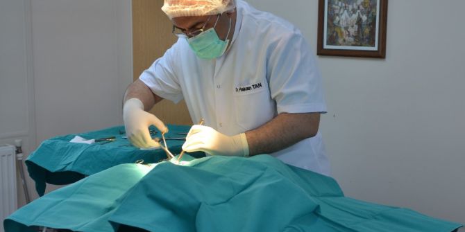 Sahipsiz Hayvanlar Kısırlaştırılarak Sahiplendiriliyor