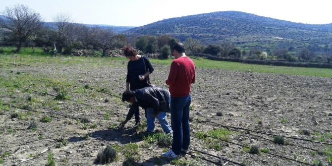 Yunusemreli Üreticilere Lavanta Eğitimi