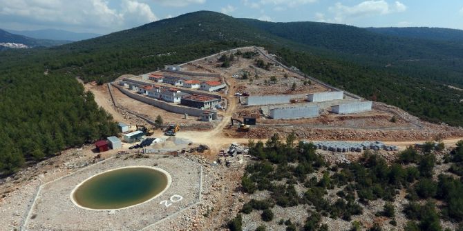 Büyükşehir’den Doğal Yaşam Alanlı Barınak