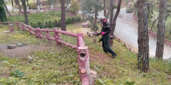 Alaşehir’de İlaçlama Çalışmaları Devam Ediyor