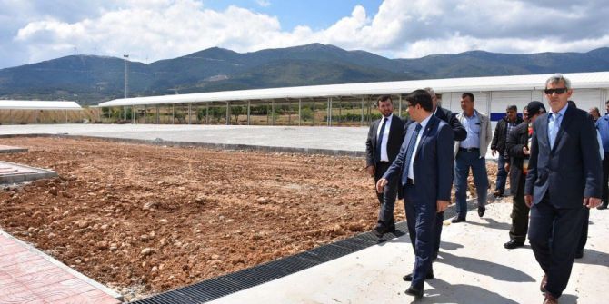 Sancaklıbozköy Kiraz Pazarı Açılıyor