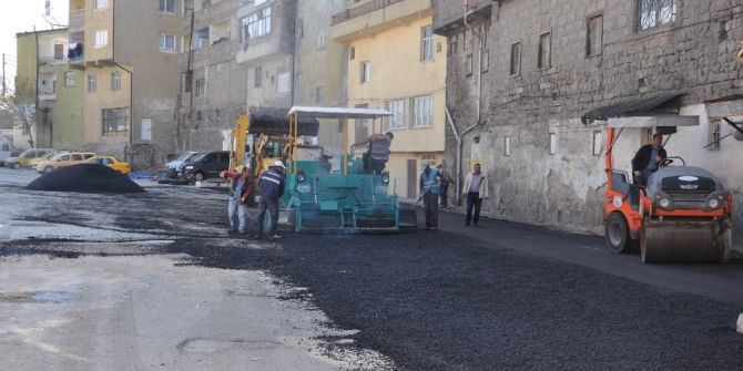 Develi’de Terminal Mevkiinde Asfaltlama Çalışmaları Başladı