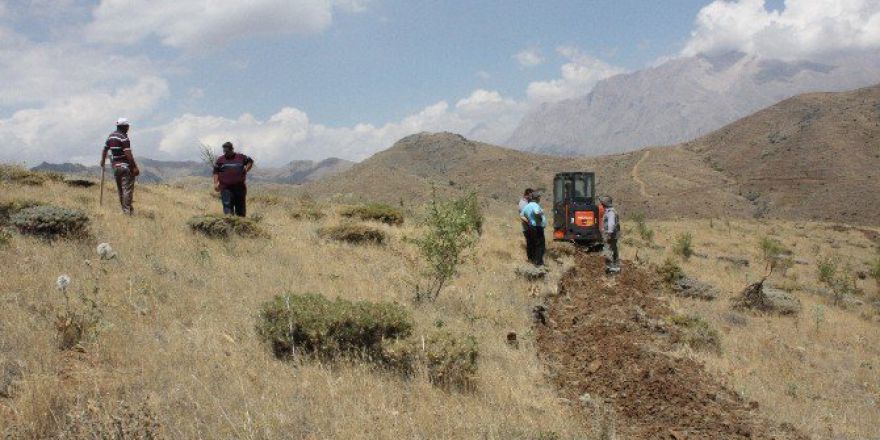 Pozantı’da Ağaçlandırma Çalışmaları