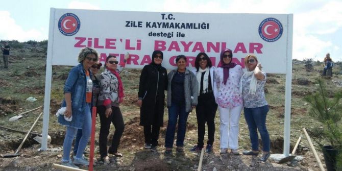 Bayanlardan Zile’ye Hatıra Ormanı