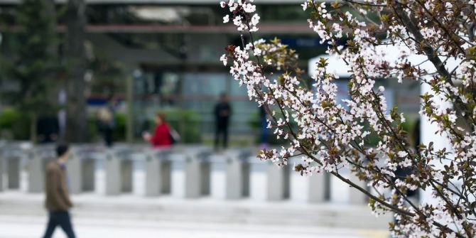 Bahar Alerjisine Karşı Uzmanlardan Altın Uyarı