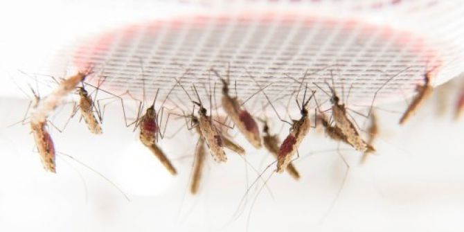 Mesane Kanserine, Tedavi Umudu Doğdu