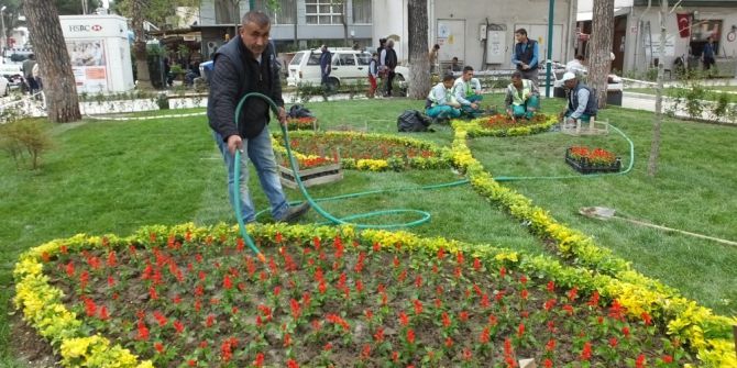 Burhaniye’de Park Ve Refüjlere Belediye Güzelliği