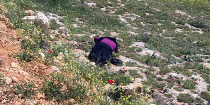 Şanlıurfa’da Trafik Kazası: 1 Ölü, 2 Yaralı